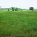 Sports Authority Of Goa